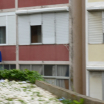 P1120774-w640_h480